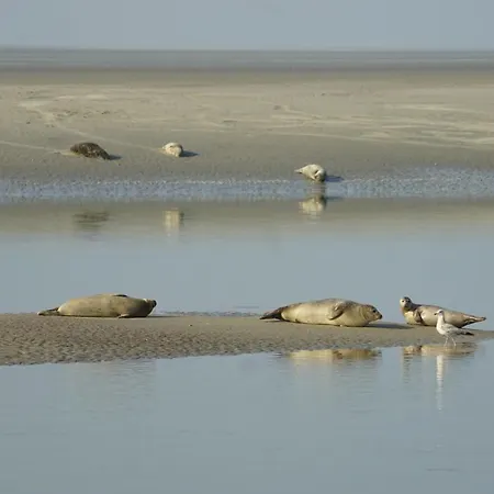 La Pature Joyeuse En Baie De Somme アパート