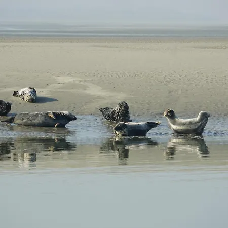 アパート La Pature Joyeuse En Baie De Somme